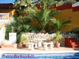 Poolterrasse mit Palmen