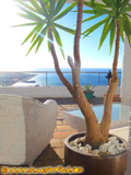 Villa Almaysia