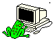 Internet Frosch