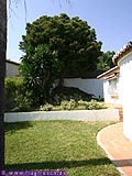 Privater Garten 