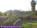 Privater Garten