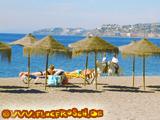 Nur wenige Minuten mit dem PKW zum Strand