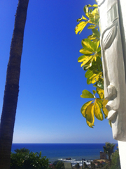 Ferienhaus Bahía del Mar in Estepona an der Costa del Sol