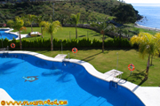 Designer Swimming Pool