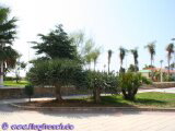 Torre del Mar an der Costa del Sol